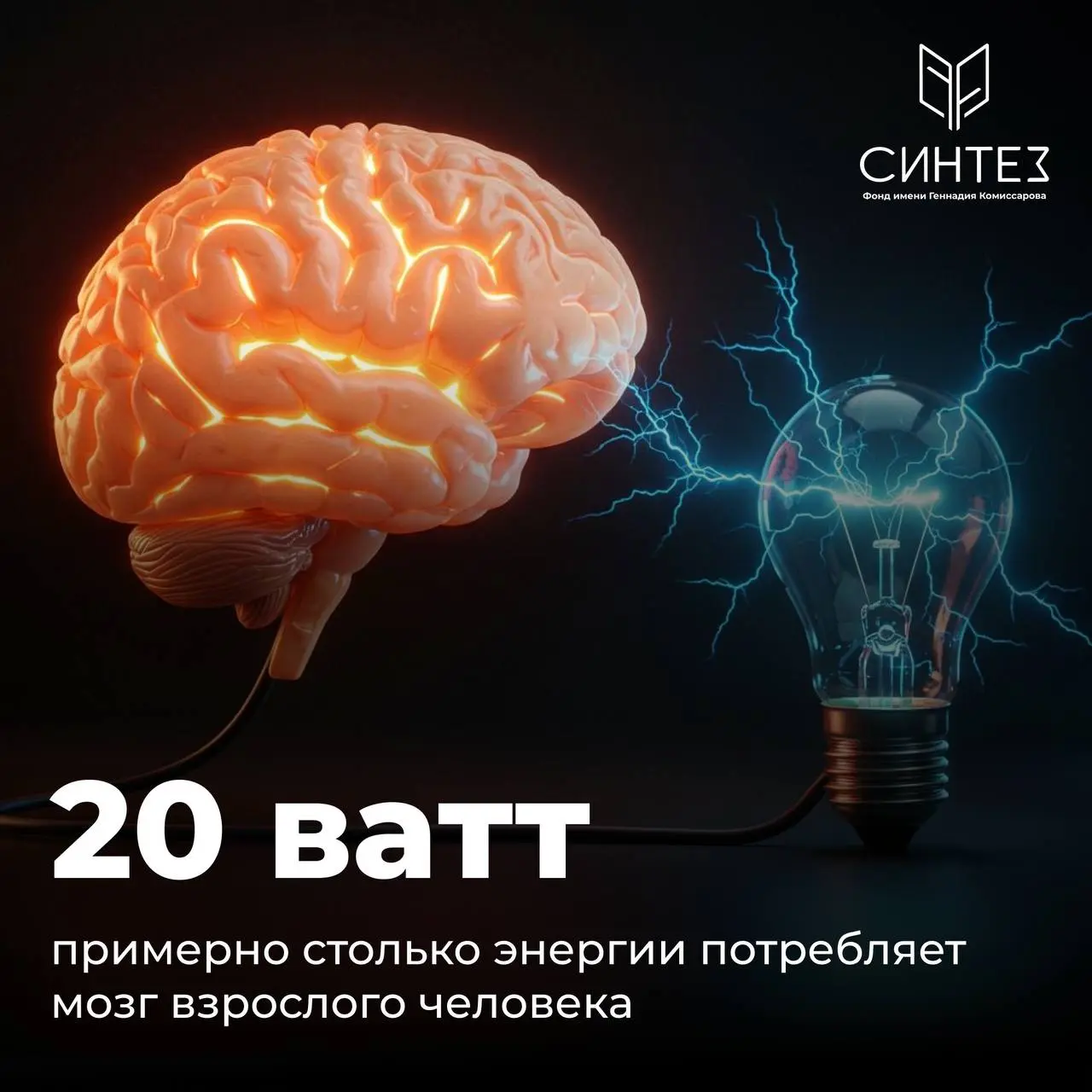 Правда ли, что мозг может зажечь лампочку? 💡
Мозг взрослого человека потребляет около 20 ватт энергии. Это примерно столько же, сколько небольшая светодиодная лампа | Сетка — социальная сеть от hh.ru