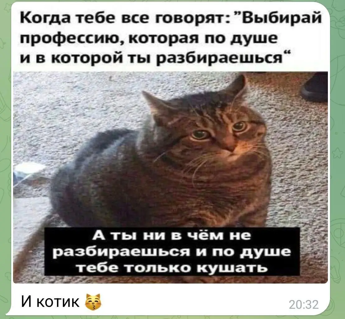 Сложный выбор 😂
От любимого клиента Елены ❤️
#Юмор@poldner #Коты@poldner | Сетка — социальная сеть от hh.ru