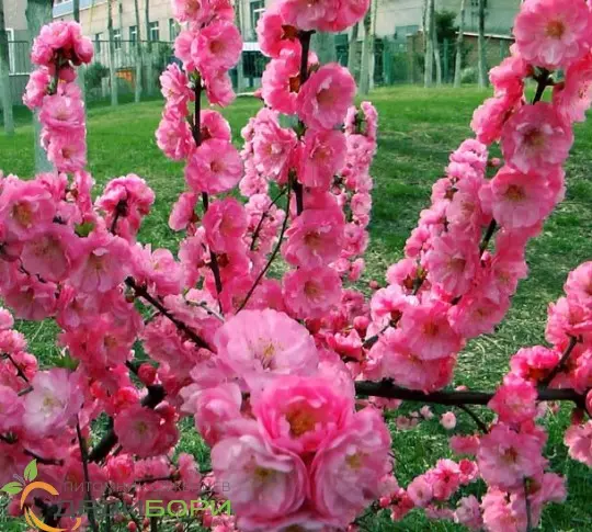 ***Правительство одобрило упрощенный перевод сельхозземель под агротуриз
Земельные участки сельхозназначения, которые не относятся к сельскохозяйственным угодьям, можно будет в упрощенном порядке пере... | Сетка — социальная сеть от hh.ru