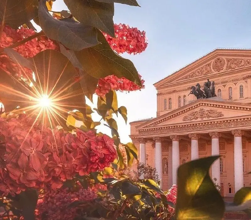 ☀️Воздух в Москве прогреется до +11 на следующей неделе
Температура будет на 4–6 градусов выше нормы, возможны небольшие осадки | Сетка — социальная сеть от hh.ru