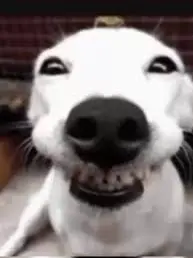 2000 подписчиков за год! | Сетка — социальная сеть от hh.ru