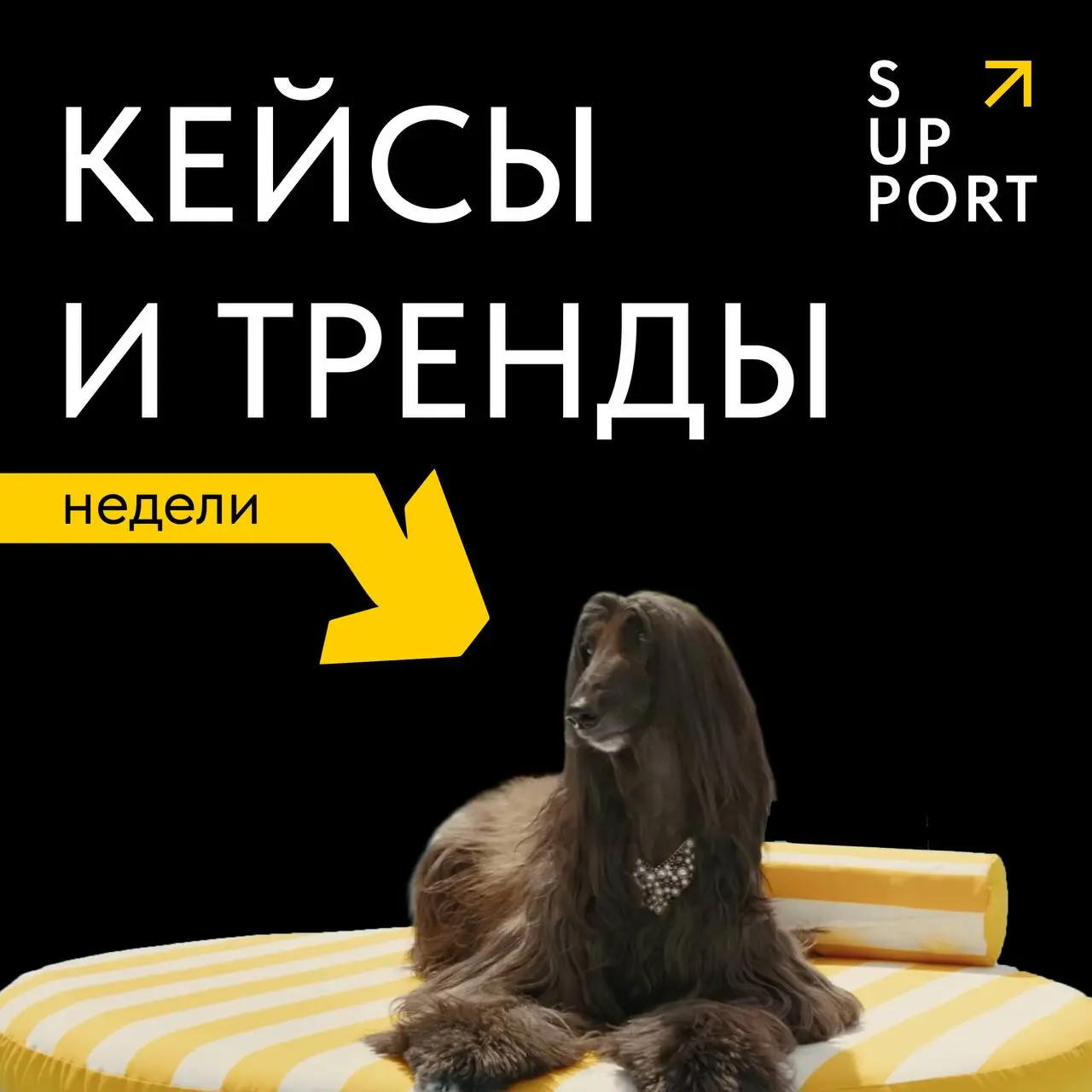 🔎 Что произошло в маркетинге за неделю?
В нашей рубрике#кейсыитрендынедели мы собираем самое интересное из мира маркетинга: рекламные кампании, креативы и тренды, которые можно брать на заметку | Сетка — социальная сеть от hh.ru