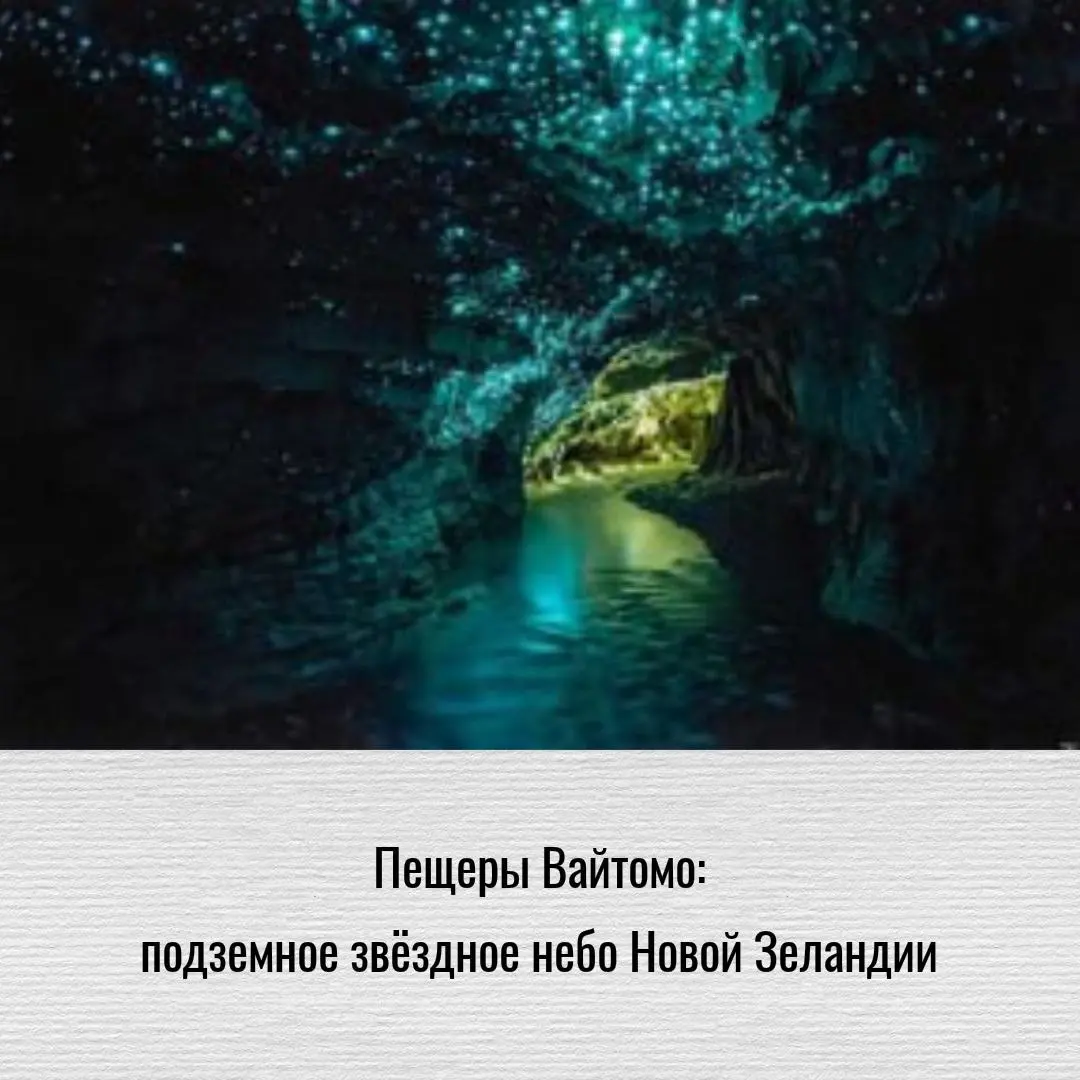 Пещеры Вайтомо: подземное звездное небо Новой Зеландии
На Северном острове Новой Зеландии есть место, которое путешественники часто называют одним из самых необычных природных чудес страны | Сетка — социальная сеть от hh.ru