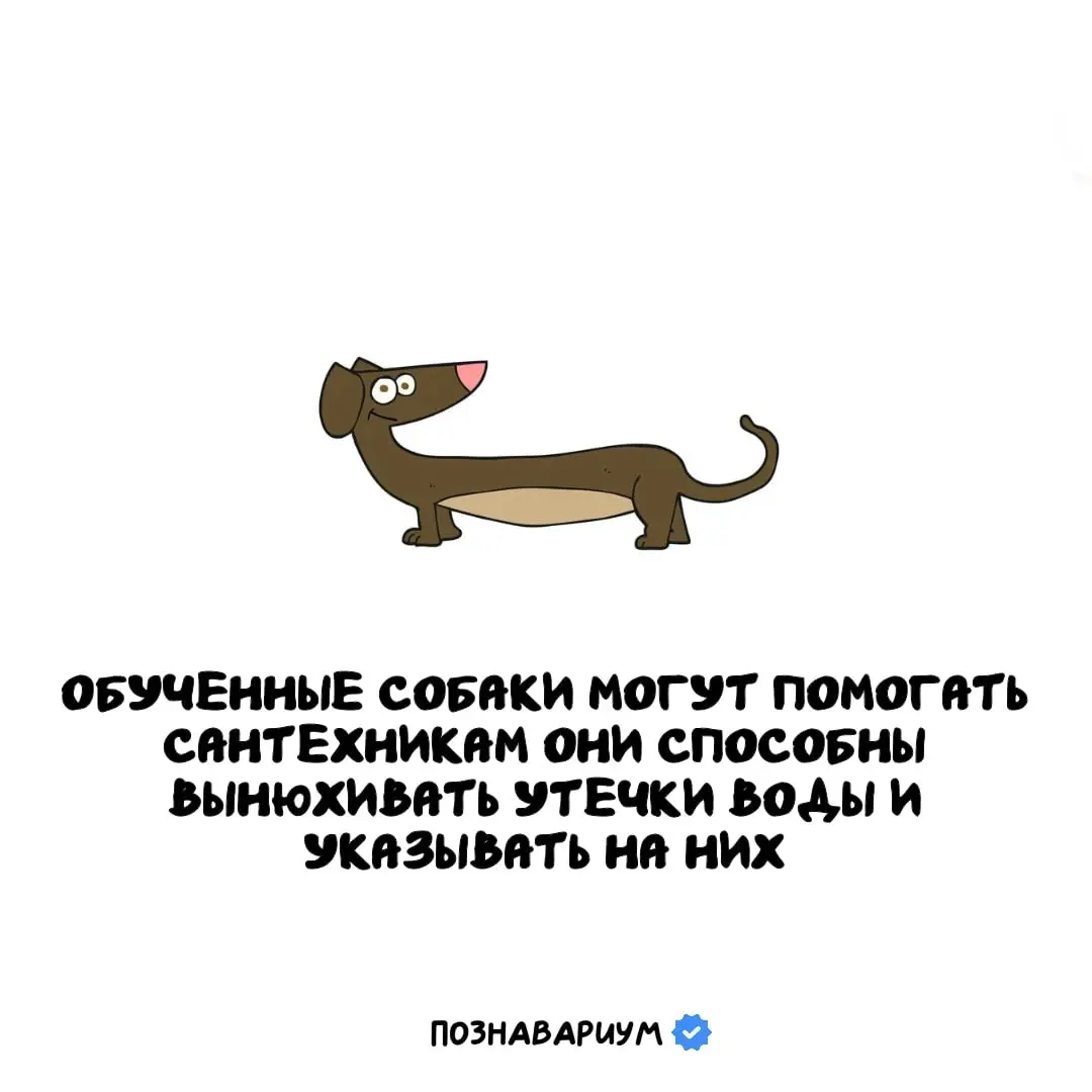 А ВЫ знали? | Сетка — социальная сеть от hh.ru