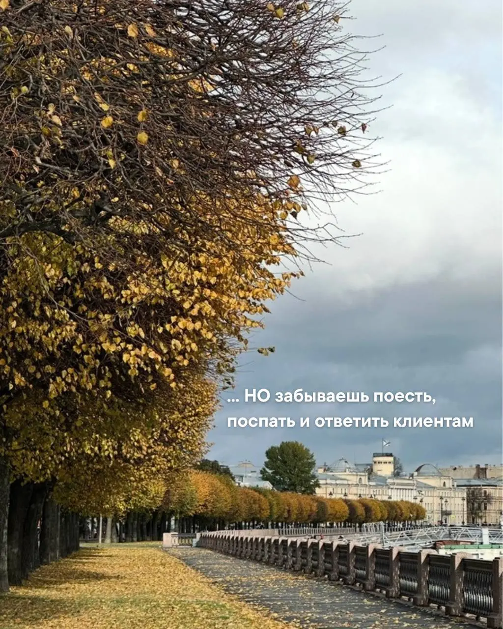 Отправь подруге, у которой так же | Сетка — социальная сеть от hh.ru