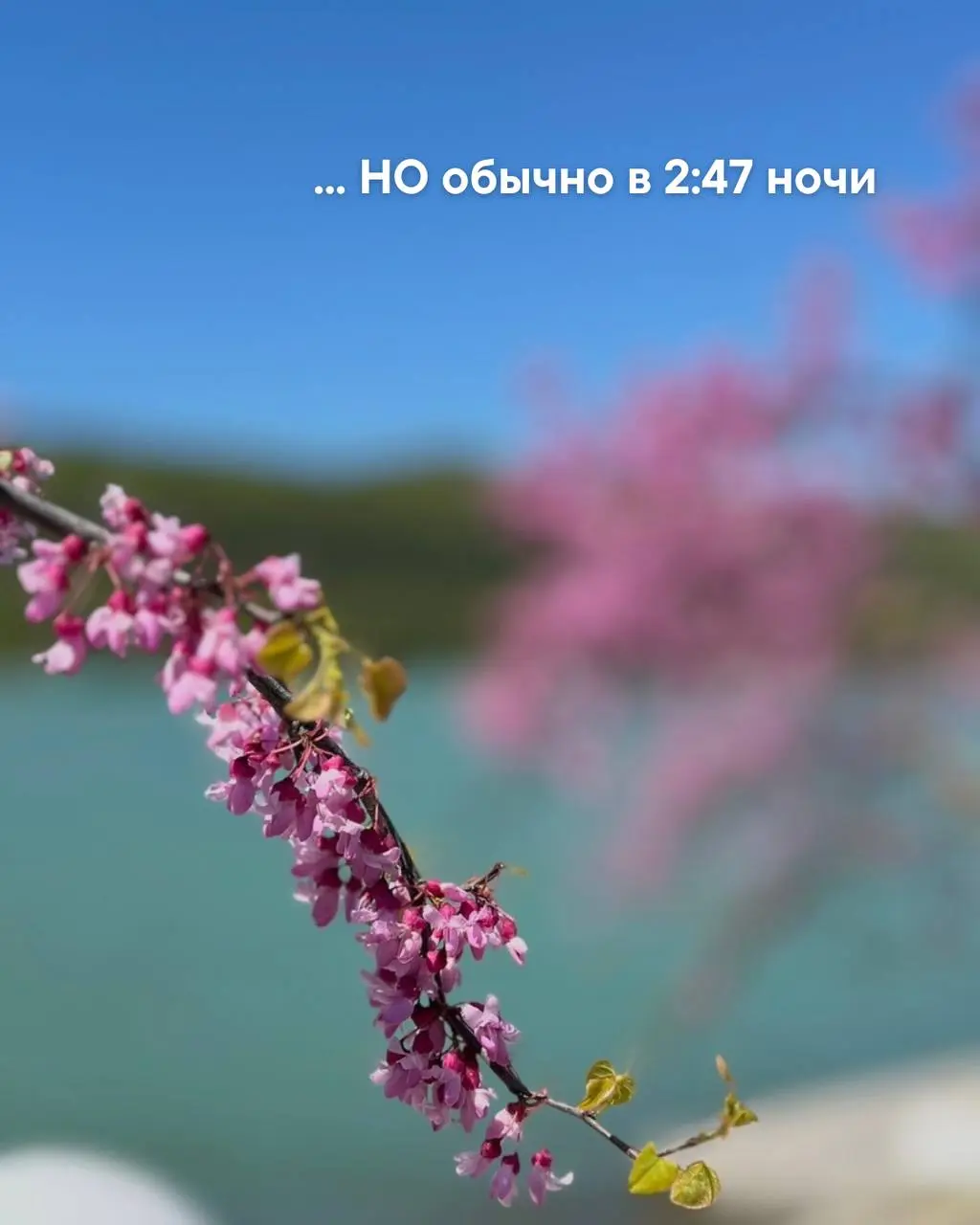 Отправь подруге, у которой так же | Сетка — социальная сеть от hh.ru