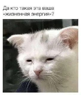 на этой неделе я ездила проводить тренинг, и мы разбирались с ролями, которые используем в команде (по модели Белбина)
определили 7 моделей, которые есть в детском саду + посмотрели, какие из них силь... | Сетка — социальная сеть от hh.ru