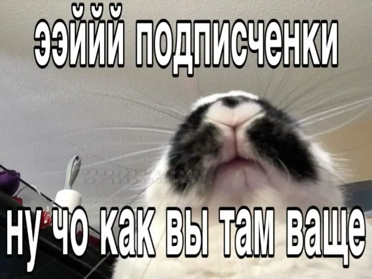 Оффера все нет | Сетка — социальная сеть от hh.ru