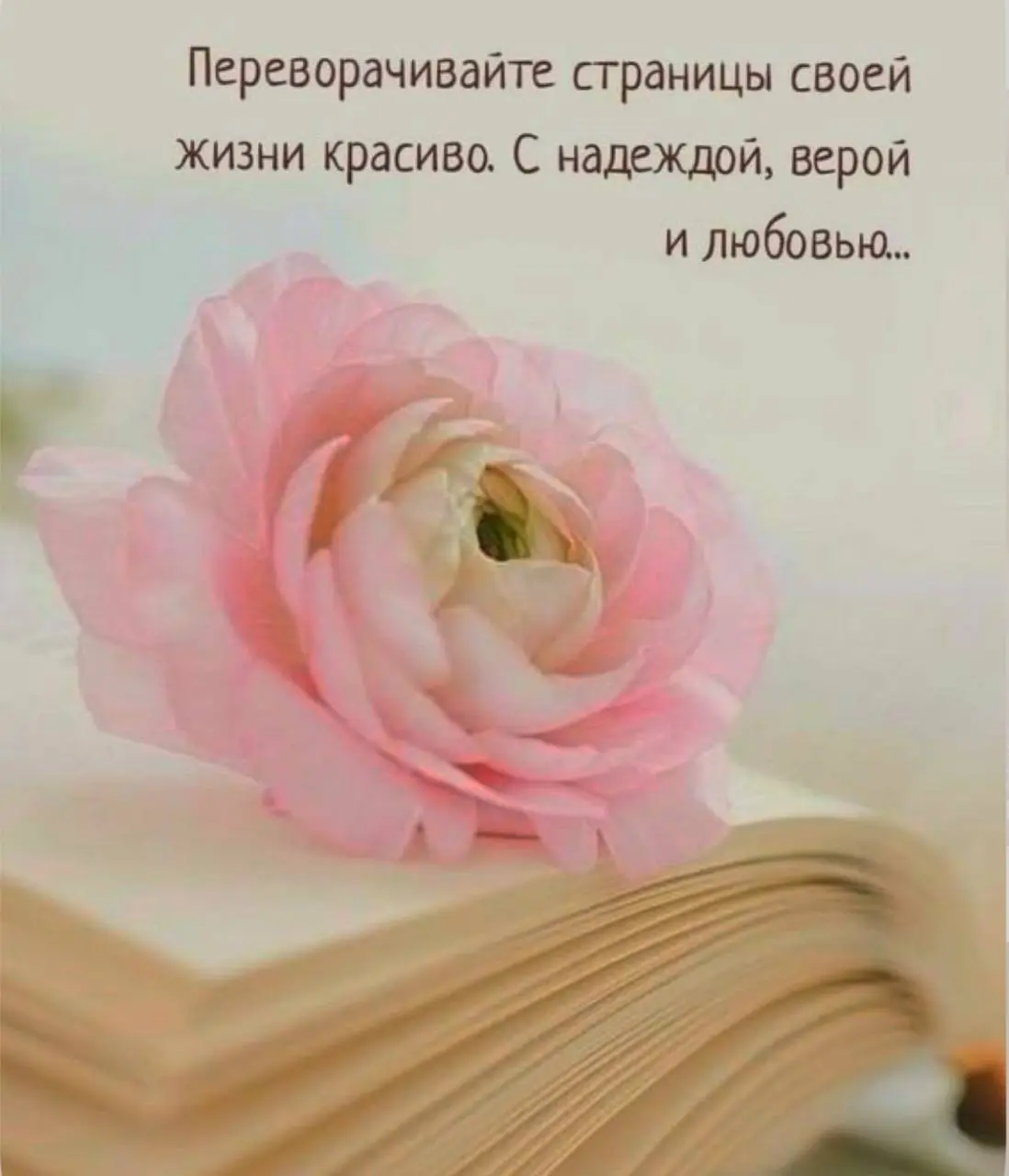 . Женщина, которая ухаживает за собой
Есть особое состояние —
когда женщина знает, что о ней заботятся.
Или когда она сама о себе заботится.
Это видно.
В движениях.
В голосе | Сетка — социальная сеть от hh.ru