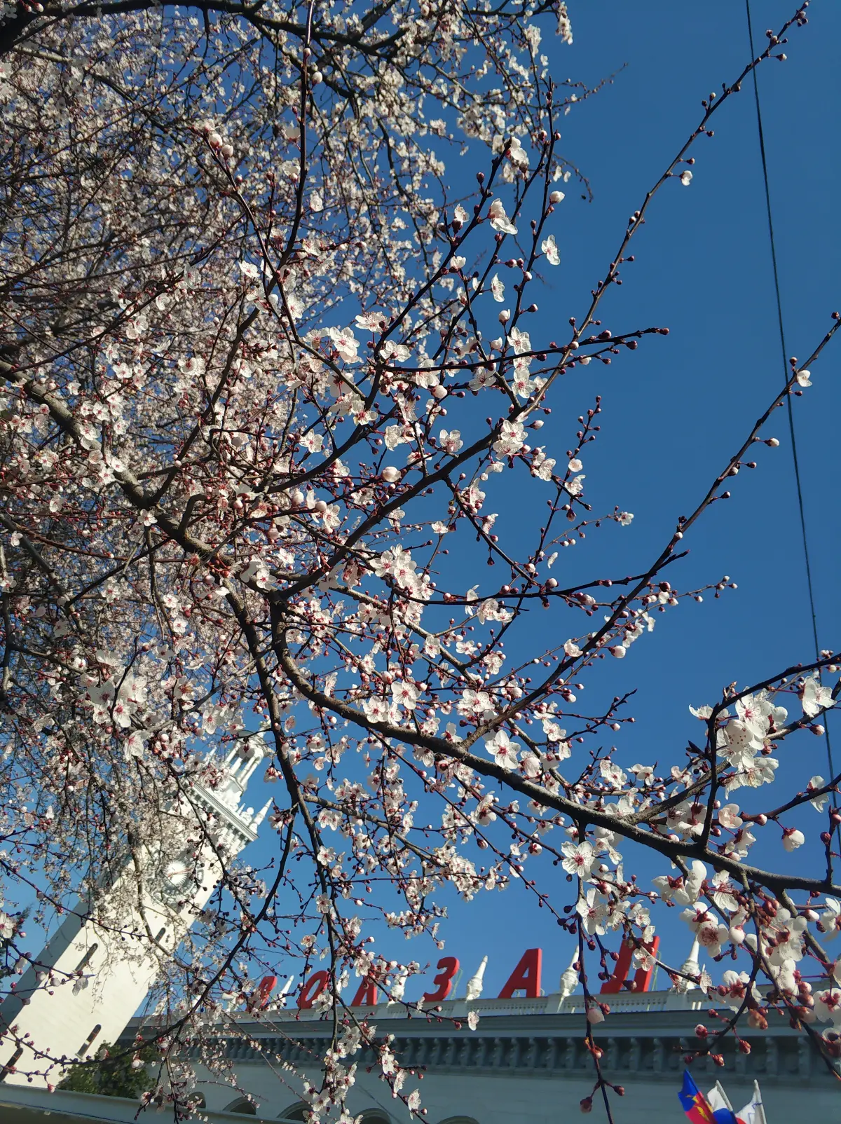 Бизнес как зеркало твоего состояния | Сетка — социальная сеть от hh.ru