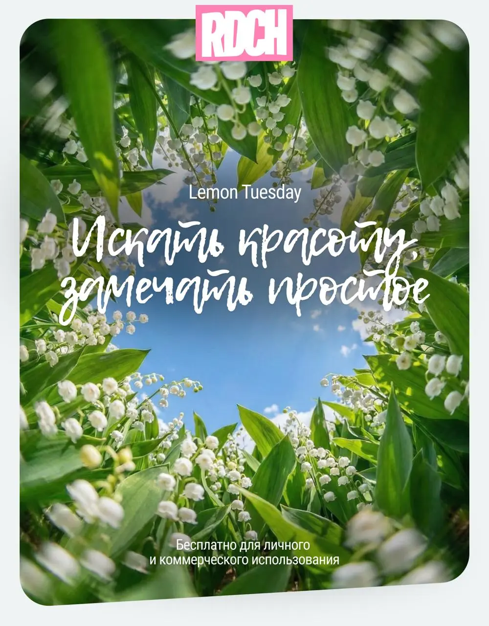 На улице все чаще случаются солнечные дни, весна наконец-то с нами!
Лови подборку весенних солнечных кириллических шрифтов для твоих проектов ❤️
📌 Ссылка на скачивание, как всегда, тут | Сетка — социальная сеть от hh.ru