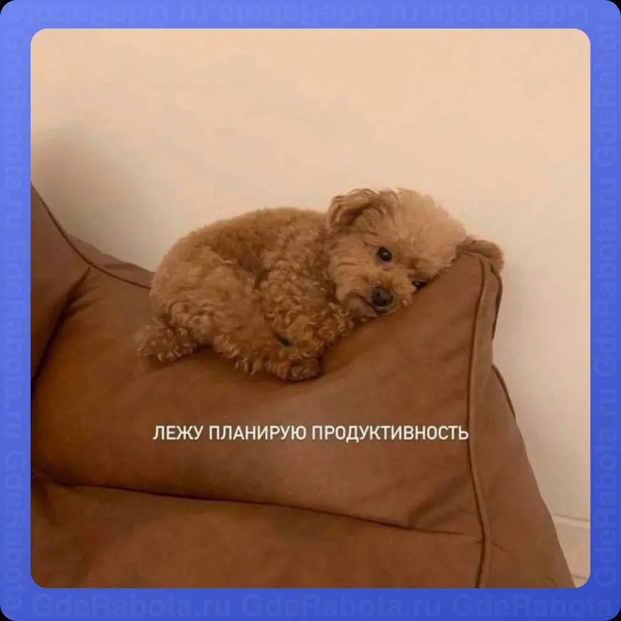 Всё правильно, ведь завтра понедельник, а значит снова на работу
#работа #GdeRabota #hr #вакансии | Сетка — социальная сеть от hh.ru