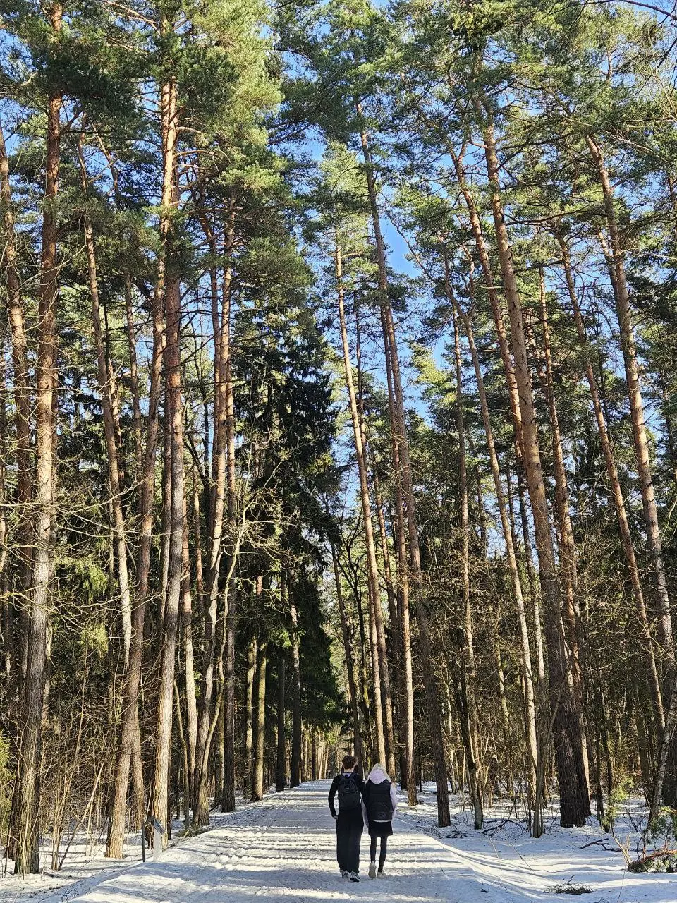 В свои 4 выходных часа вывела себя в лес☀️
Фото с запахом елового леса, легким ароматом дымка и звуком уже рыхлого снега под ногами 💫 | Сетка — социальная сеть от hh.ru