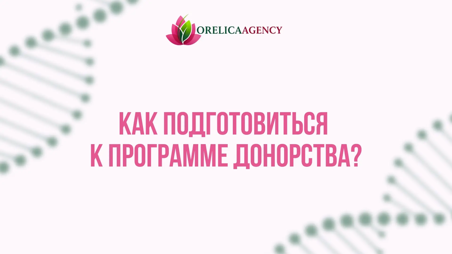 🍀 Как подготовиться к программе донорства | Сетка — социальная сеть от hh.ru