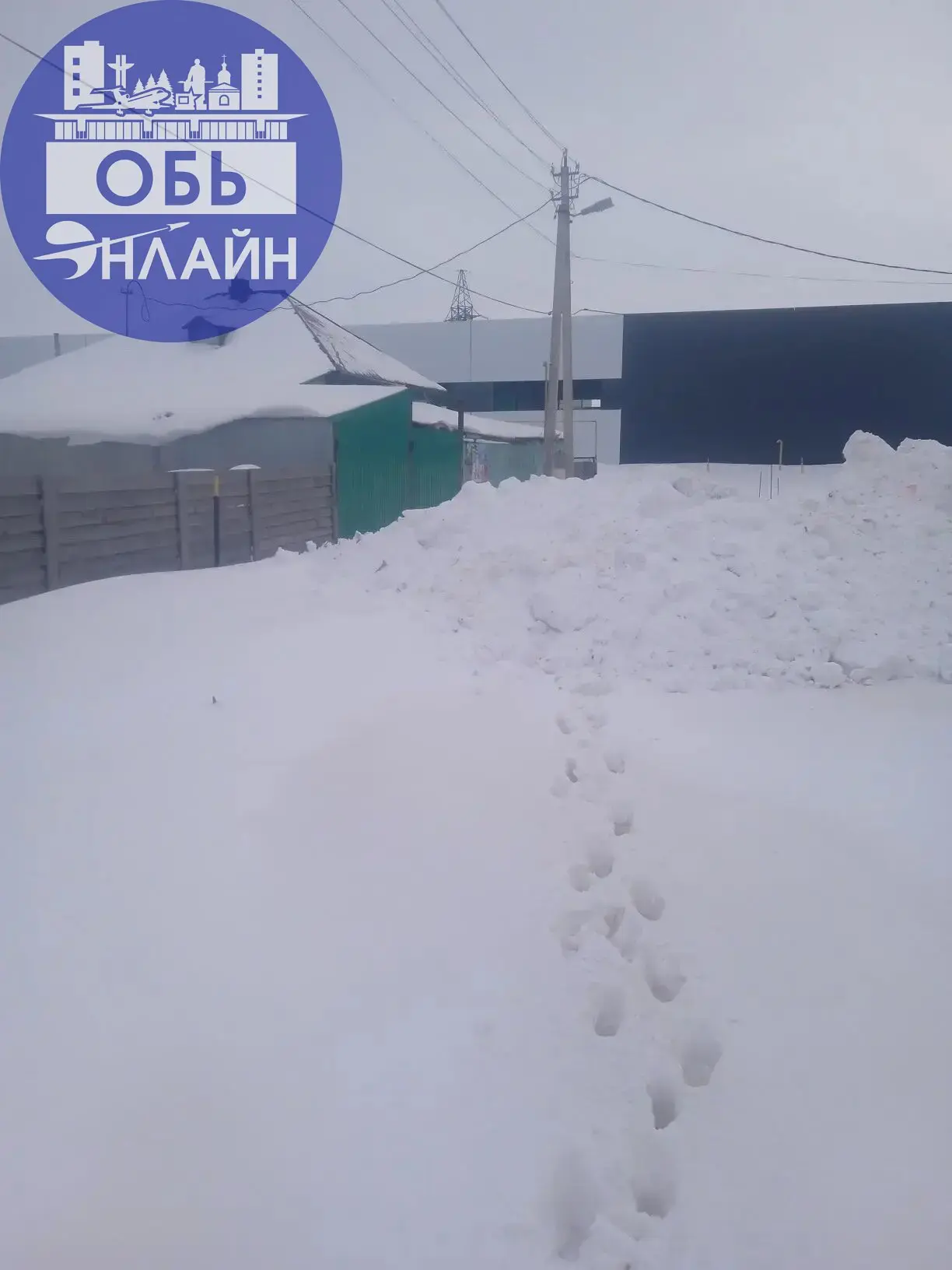 ↗ Здравствуйте! Подскажите пожалуйста а это все добро кто будет убирать ? Первые два фото по улице Рабочая где детская площадка. Сейчас это все начнет таять пойдет в огород | Сетка — социальная сеть от hh.ru