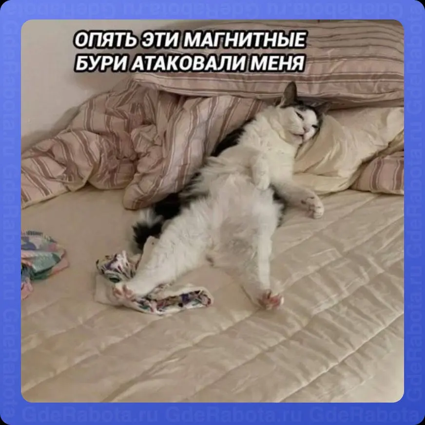 С началом рабочей недели 🫨
#работа #GdeRabota #hr #вакансии | Сетка — социальная сеть от hh.ru