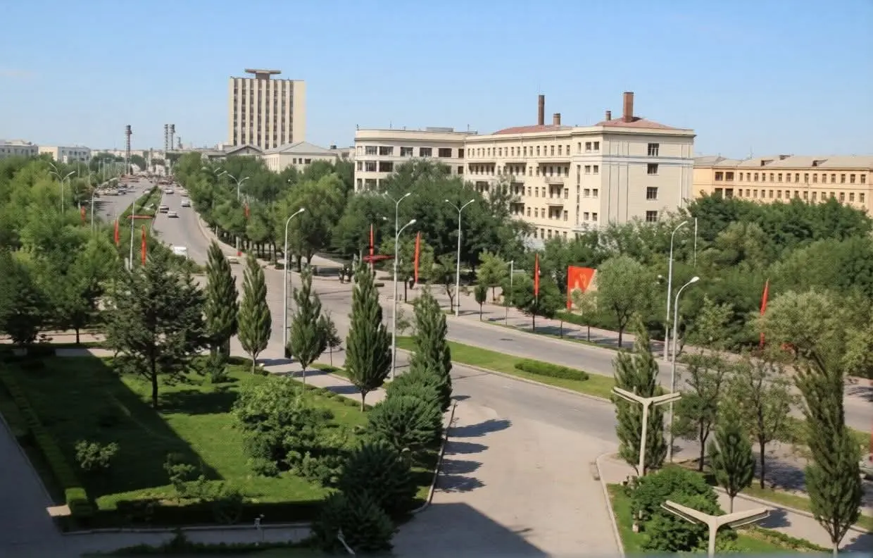 Донецк. Вид на улицу Артема и студгородок. 1968 год. | Сетка — социальная сеть от hh.ru