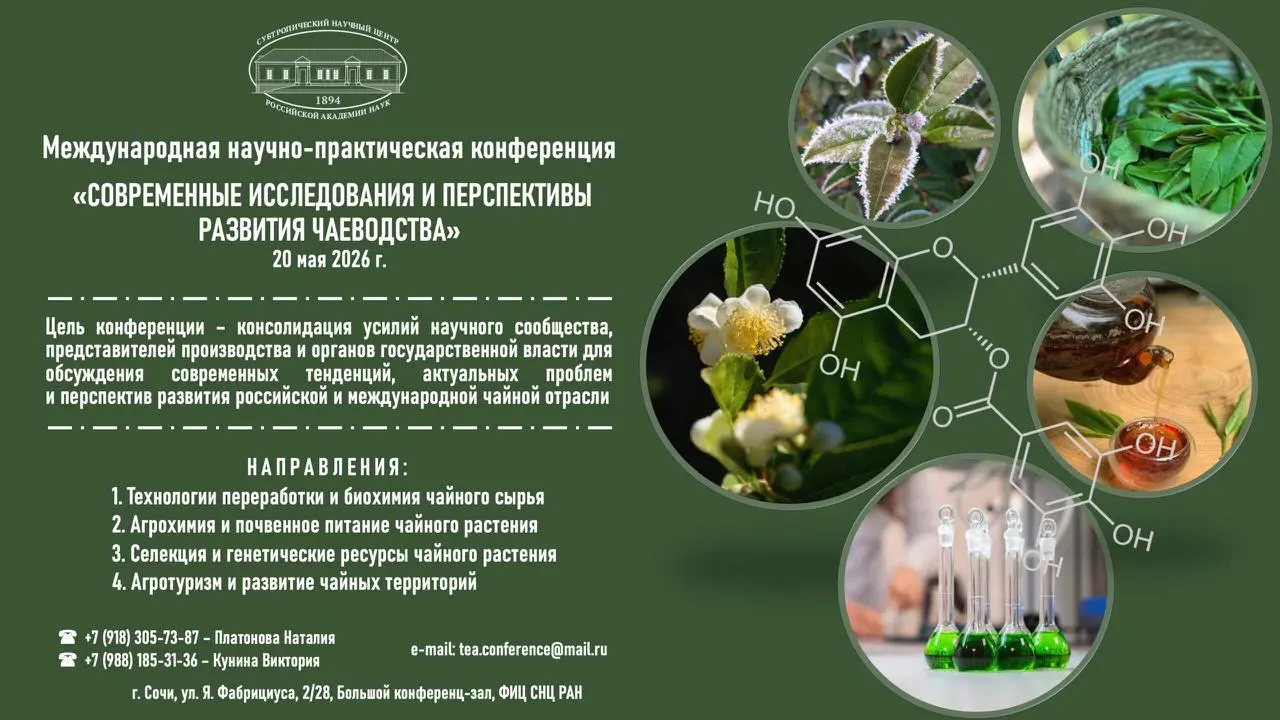 В США появился проект Susurrus Sparkling Teas, производящий газированные чаи в стиле игристого вина | Сетка — социальная сеть от hh.ru