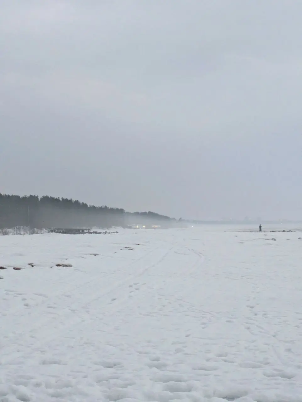 ☀️ Разный Финский залив
На лекции в ВШЭ меня спросили про любимые пространства в Питере. Залив для меня это самое сильное природное место в городе, которое сложно чем-то испортить | Сетка — социальная сеть от hh.ru