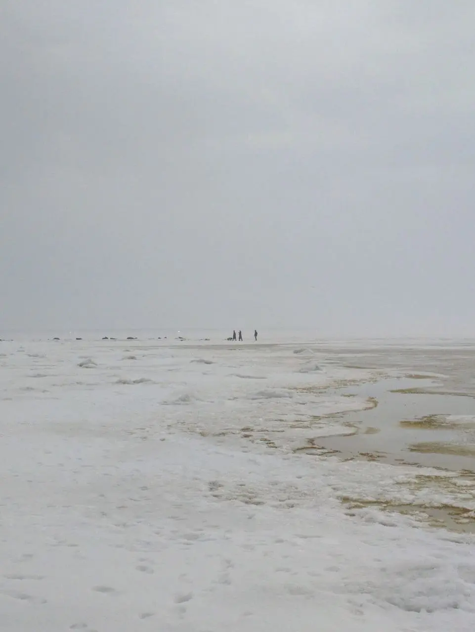 ☀️ Разный Финский залив
На лекции в ВШЭ меня спросили про любимые пространства в Питере. Залив для меня это самое сильное природное место в городе, которое сложно чем-то испортить | Сетка — социальная сеть от hh.ru