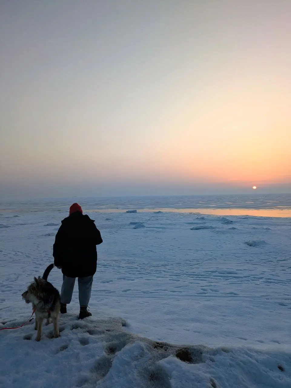 ☀️ Разный Финский залив
На лекции в ВШЭ меня спросили про любимые пространства в Питере. Залив для меня это самое сильное природное место в городе, которое сложно чем-то испортить | Сетка — социальная сеть от hh.ru