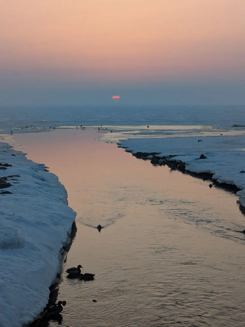 ☀️ Разный Финский залив
На лекции в ВШЭ меня спросили про любимые пространства в Питере. Залив для меня это самое сильное природное место в городе, которое сложно чем-то испортить | Сетка — социальная сеть от hh.ru
