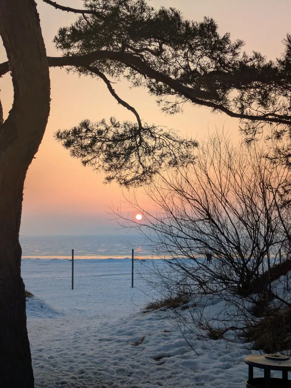 ☀️ Разный Финский залив
На лекции в ВШЭ меня спросили про любимые пространства в Питере. Залив для меня это самое сильное природное место в городе, которое сложно чем-то испортить | Сетка — социальная сеть от hh.ru