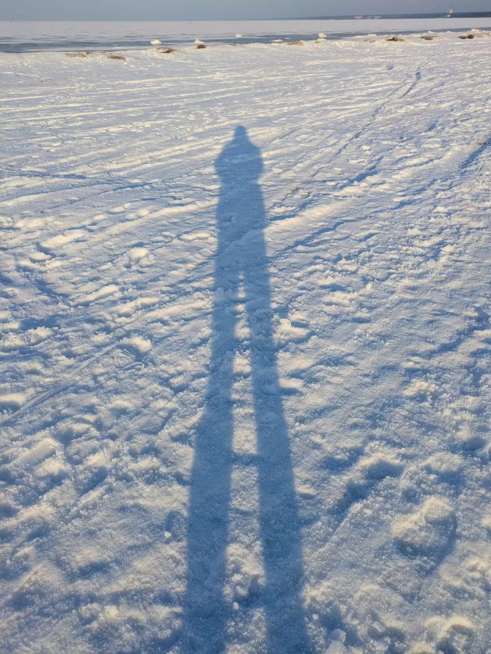 ☀️ Разный Финский залив
На лекции в ВШЭ меня спросили про любимые пространства в Питере. Залив для меня это самое сильное природное место в городе, которое сложно чем-то испортить | Сетка — социальная сеть от hh.ru