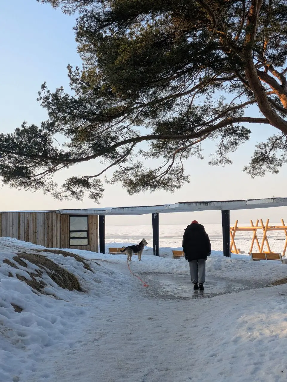 ☀️ Разный Финский залив
На лекции в ВШЭ меня спросили про любимые пространства в Питере. Залив для меня это самое сильное природное место в городе, которое сложно чем-то испортить | Сетка — социальная сеть от hh.ru