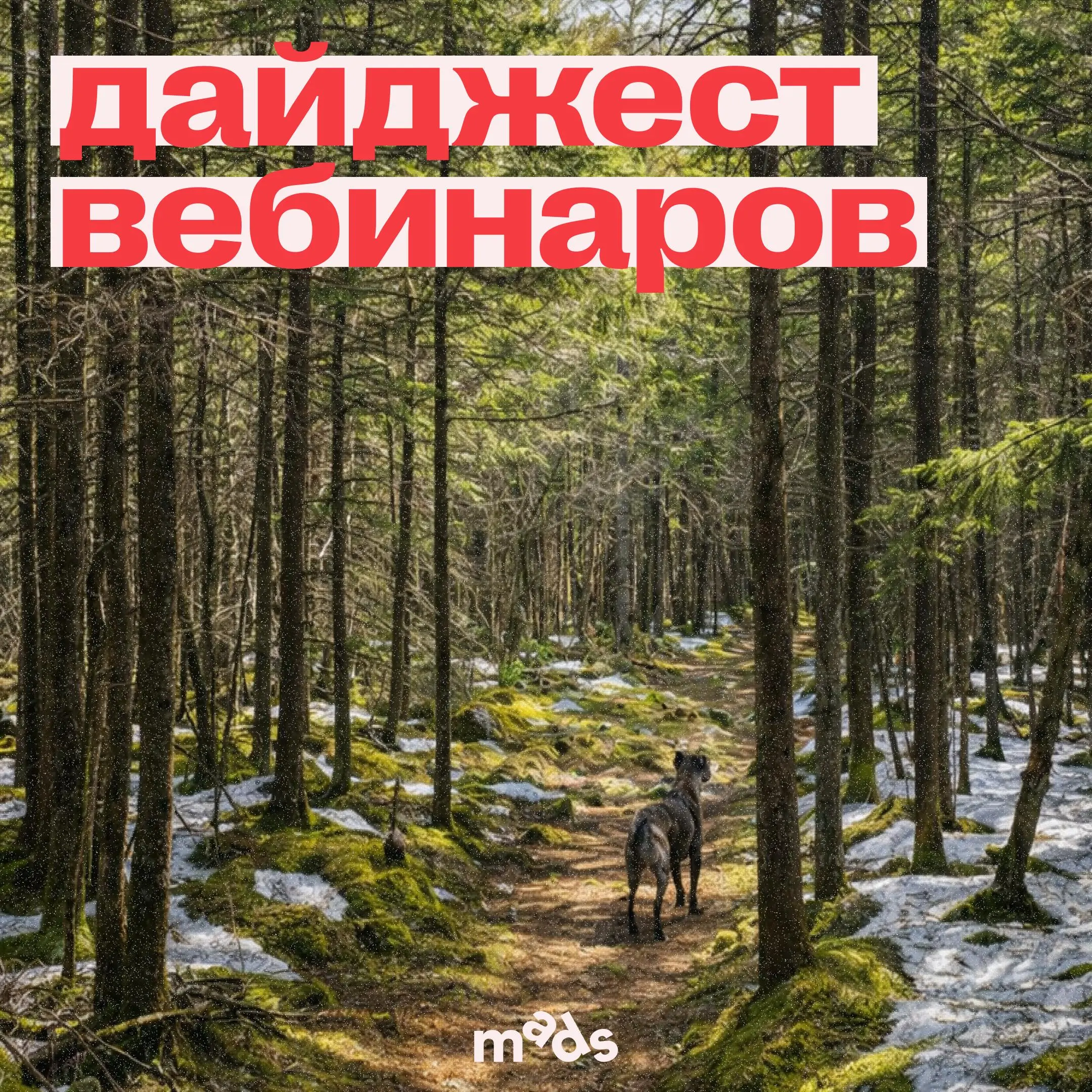 Проснулись — улыбнулись и посмотрели, какие вебинары и спринты ждут тебя на этой неделе и не только! ❤️
Дайджест мероприятий:
17 марта, 18:00 мск, онлайн
Залог успешного проекта для всех: заказчика, б... | Сетка — социальная сеть от hh.ru