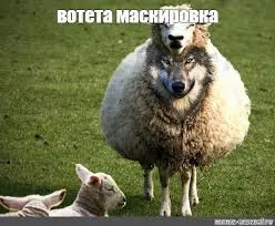 Вы уверены, что ваши лучшие клиенты действительно лучшие?
Давайте честно. Откройте сейчас список своих клиентов, пользователей или учеников за последний год | Сетка — социальная сеть от hh.ru