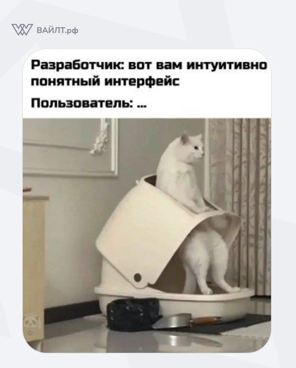 #Мем
@whiletru | Сетка — социальная сеть от hh.ru