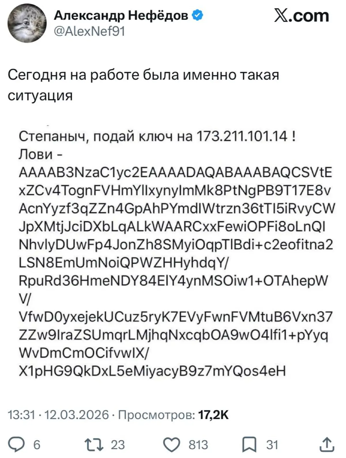 Реалии | Сетка — социальная сеть от hh.ru