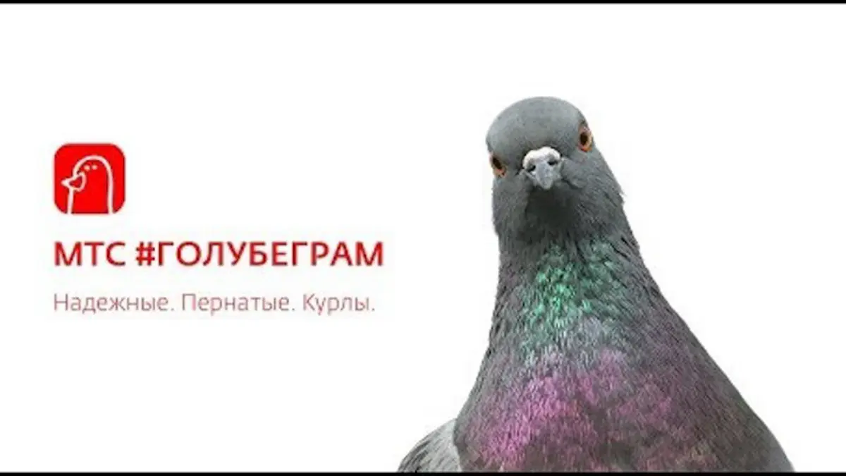 СКОРО 🔥 | Сетка — социальная сеть от hh.ru