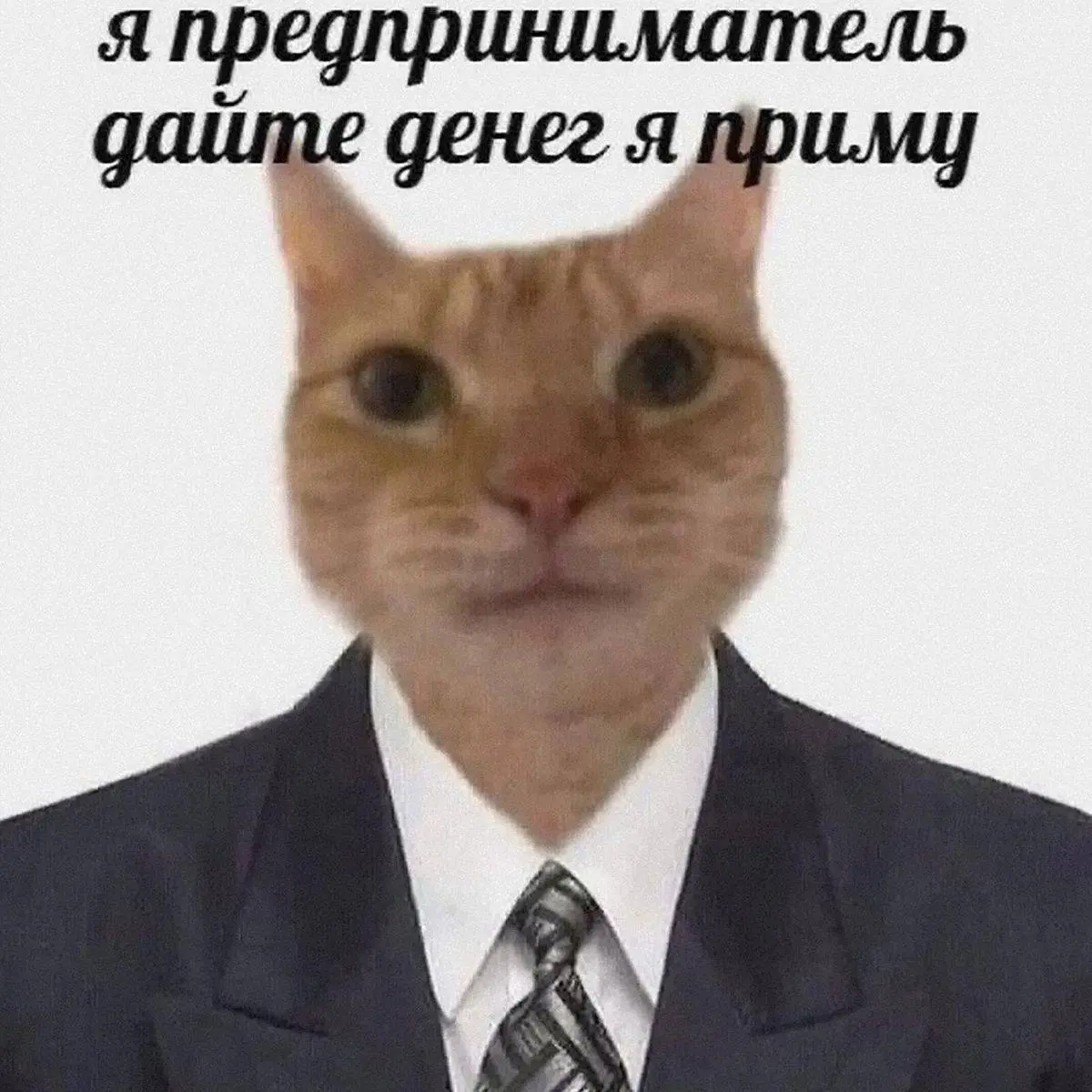Про зарплатные ожидания (и неловкое молчание)
Момент, когда рекрутер спрашивает про деньги —
и кандидат внезапно забывает, как говорить | Сетка — социальная сеть от hh.ru