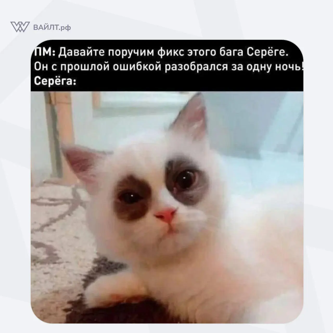 #Мем
@whiletru | Сетка — социальная сеть от hh.ru