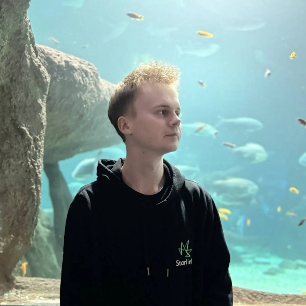 Семён Васильев