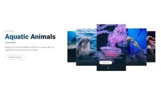Landing page with swiper — карусель с изображениями. Реализована с помощью CSS и JS
https://codepen.io/kristen17/pen/GRXgqaB | Сетка — социальная сеть от hh.ru