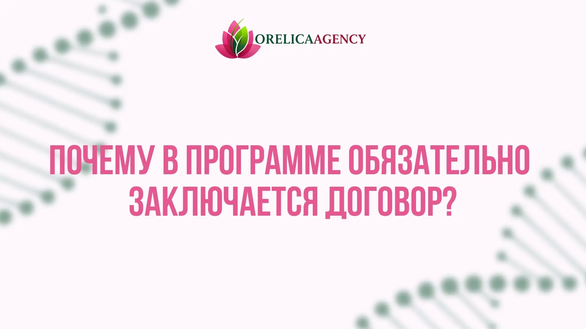 🍀 Почему в программе обязательно заключается договор | Сетка — социальная сеть от hh.ru