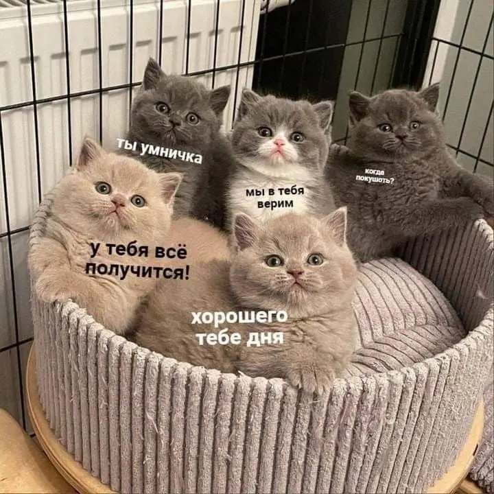 День «Ты всё делаешь правильно» отмечается сегодня.
Если вам скинули этот пост — продолжайте в том же духе.
👉 Топор +18. Подписаться
В этом посте были ссылки, но мы их удалили по правилам Сетки | Сетка — социальная сеть от hh.ru