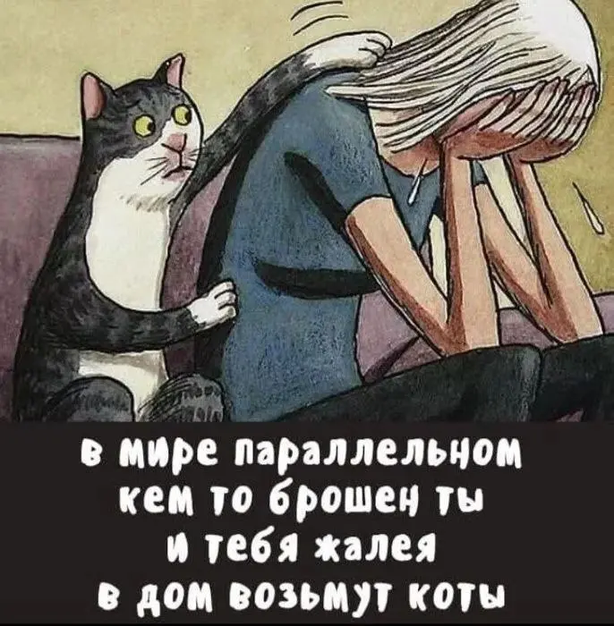 Надежда всегда есть 😂😂😂
#Юмор@poldner #Коты@poldner | Сетка — социальная сеть от hh.ru