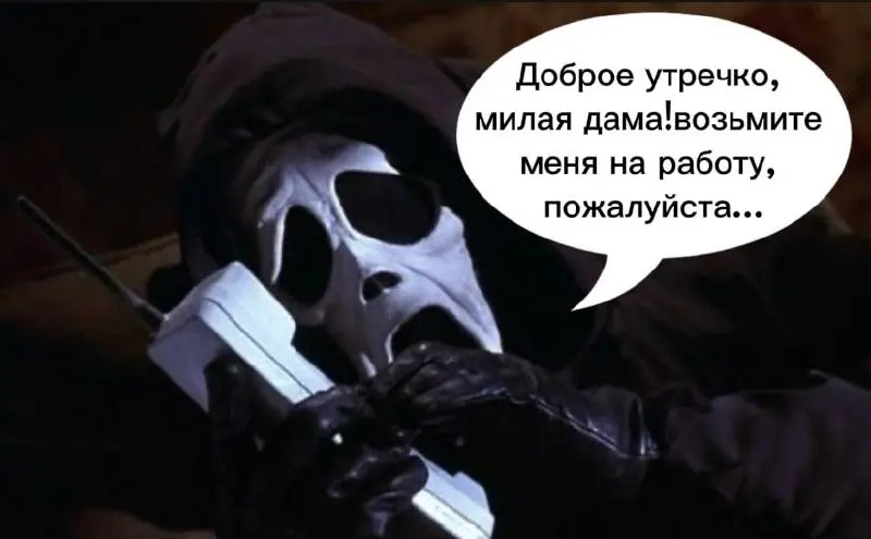 Про один разговор, который всё изменил
Сейчас провожу собеседования на вакансию специалиста-"технаря.". Откликов много. Смотрю каждое резюме, даю обратную связь | Сетка — социальная сеть от hh.ru