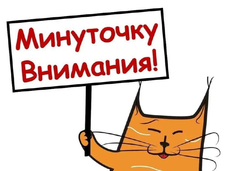 Друзья, минуточку внимания!
Я знаю, среди читателей канала много классных высокоэкспертных HR’ов | Сетка — социальная сеть от hh.ru