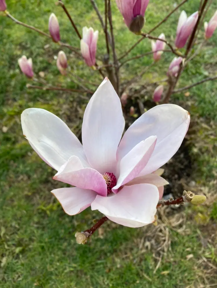 Сочи🌸Инсайд | Сетка — социальная сеть от hh.ru
