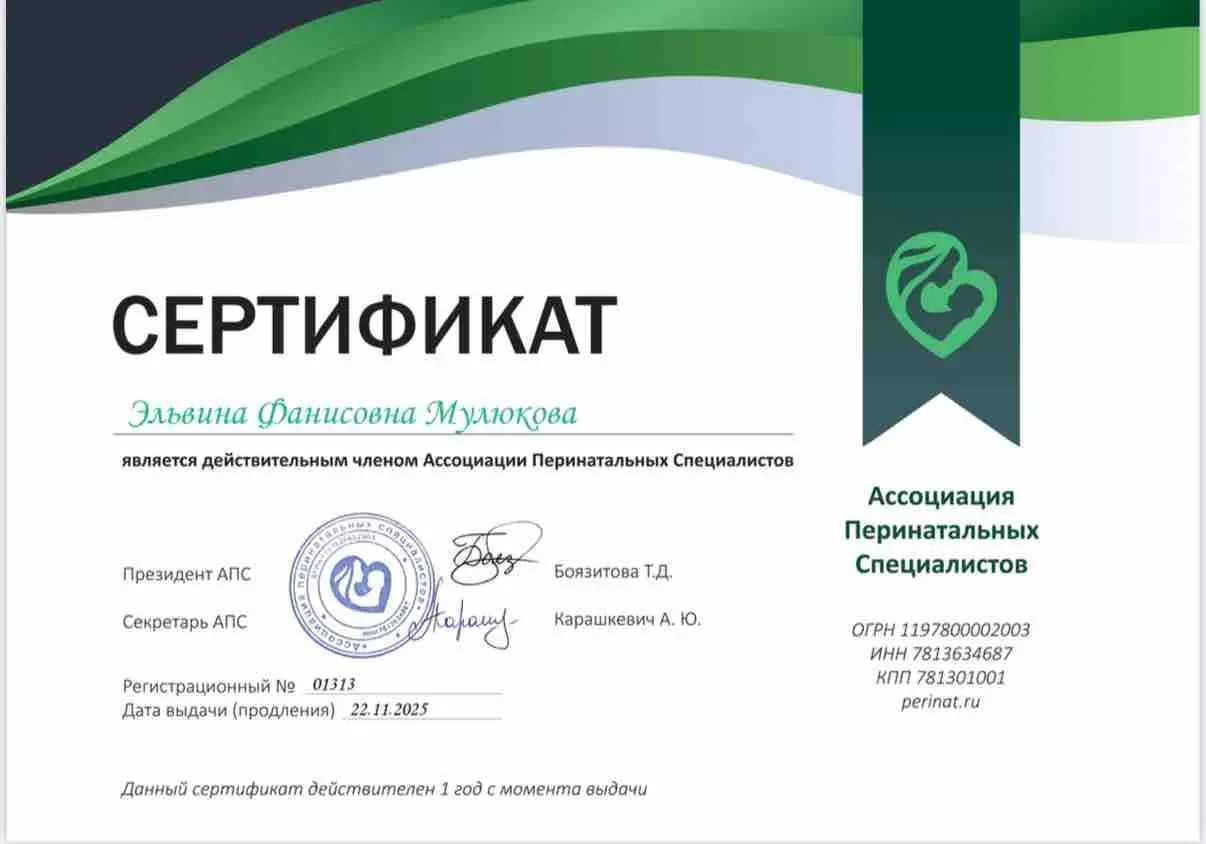 Эльвина Мулюкова