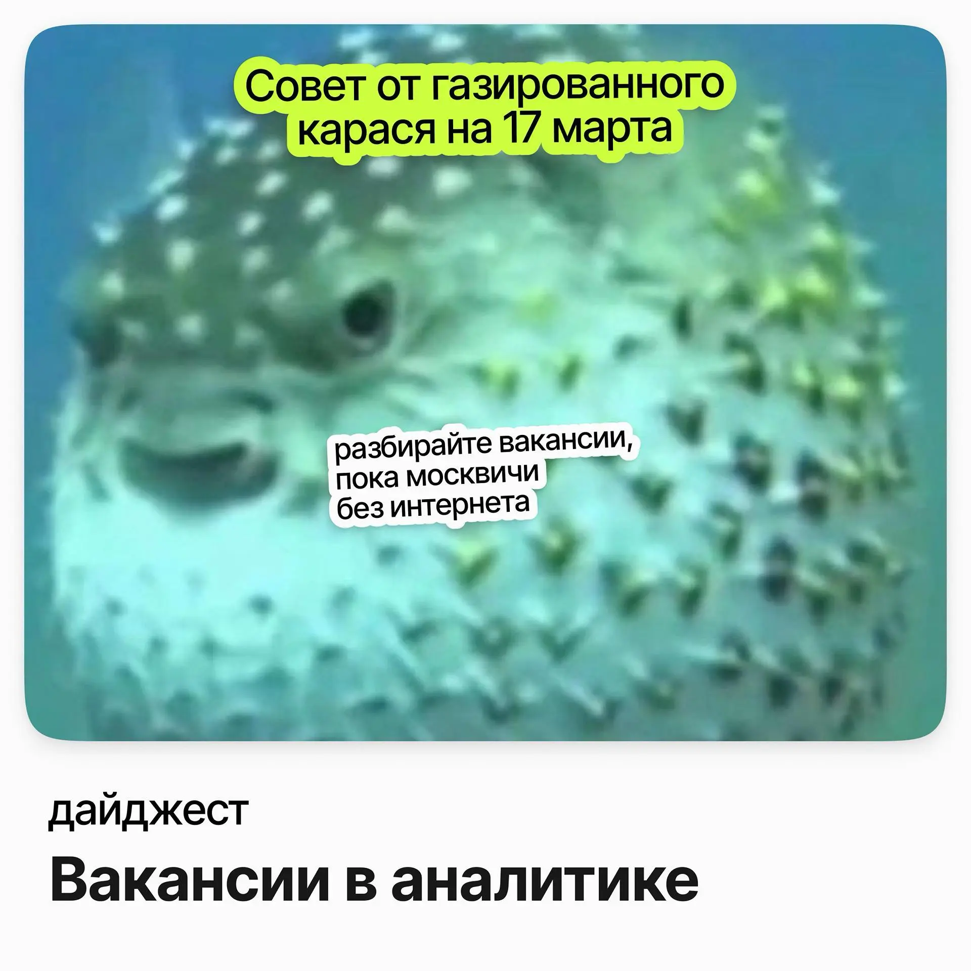 Вакансии в аналитике | Сетка — социальная сеть от hh.ru