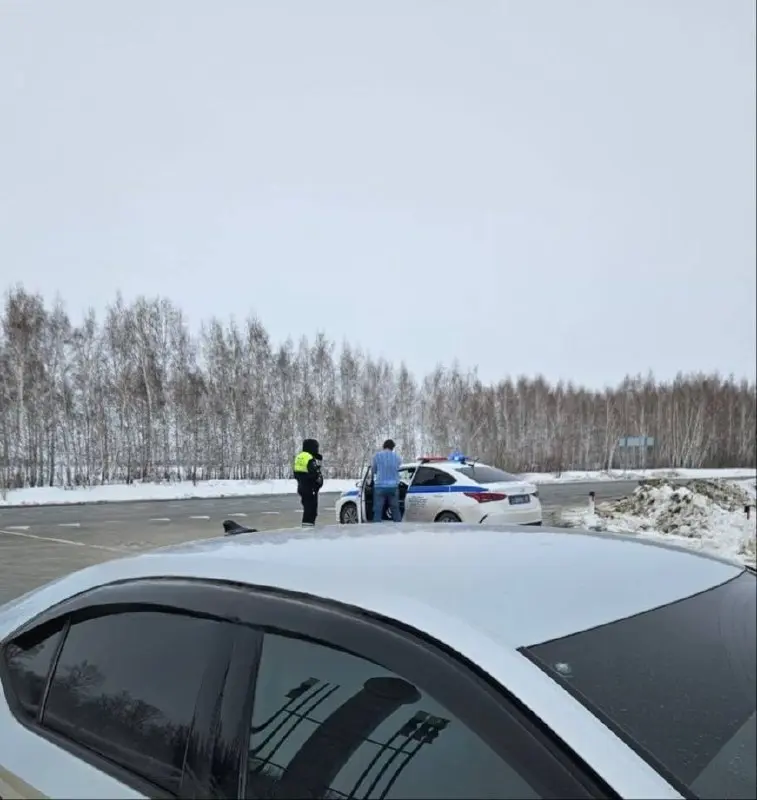 В Новосибирской области перекрыли въезд в посёлки Чернокурье и Новоключи на фоне массового уничтожения скота, пишут СМИ | Сетка — социальная сеть от hh.ru
