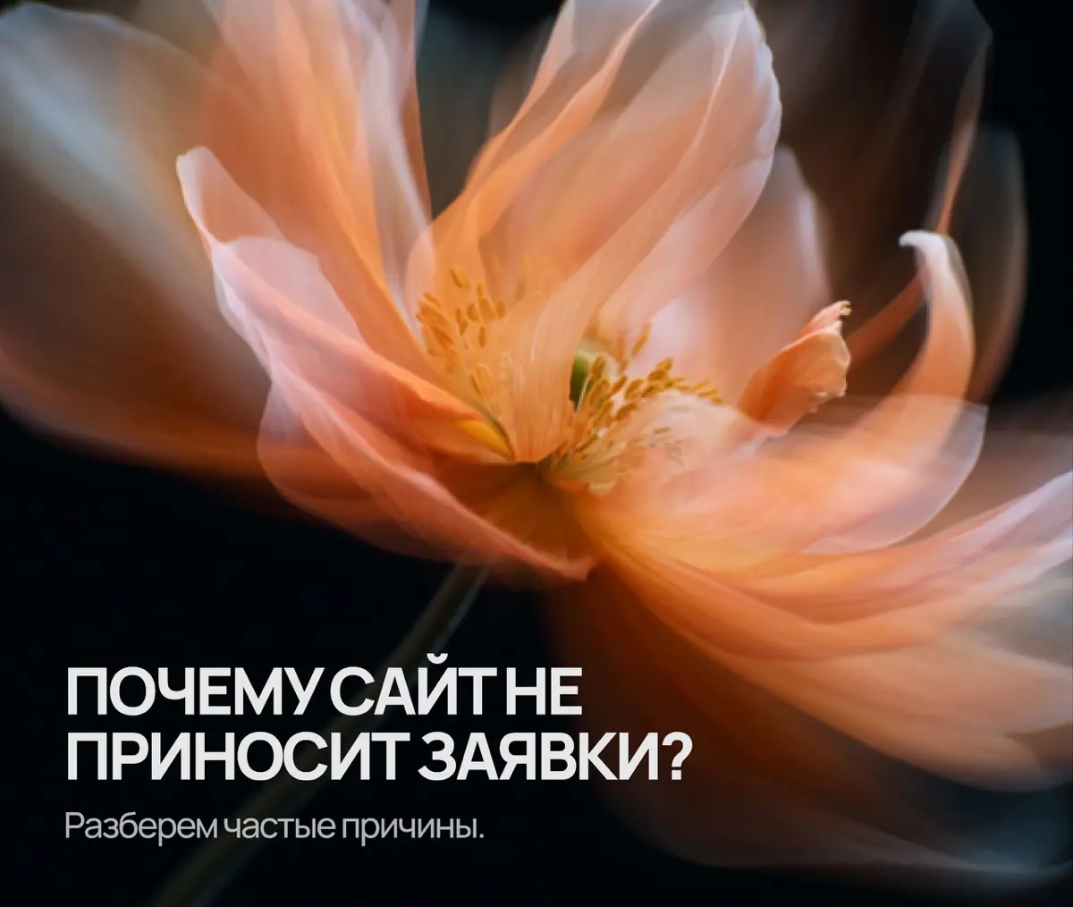 Сайт есть, а заявок нет. Знакомо?
Очень частая история: сайт сделали, запустили, все вроде красиво, но заявок почти нет. И первая мысль обычно такая: сайт не работает | Сетка — социальная сеть от hh.ru