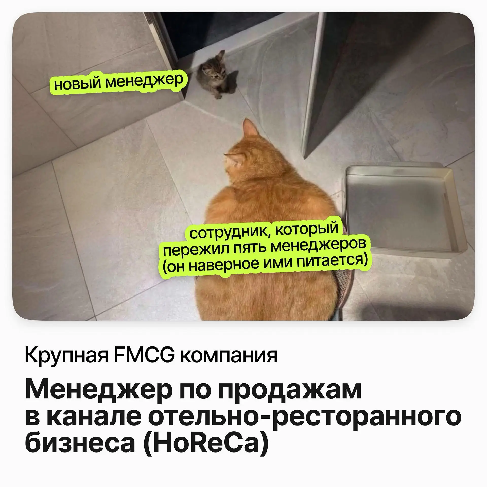 Менеджер по продажам HoReCa / Крупная FMCG компания | Сетка — социальная сеть от hh.ru