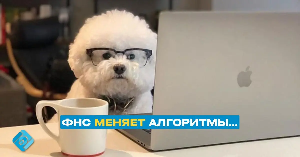 ⚠️ ФНС меняет алгоритмы шифрования с 1 апреля 2026
С 1 апреля 2026 года ФНС перейдет на новые алгоритмы шифрования ГОСТ 34.12-2018 и 34 | Сетка — социальная сеть от hh.ru